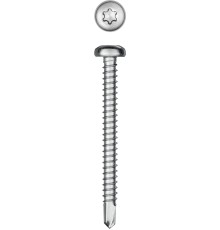 KRAFTOOL DS-P, 50 х 4.8 мм, А2, сверло, полукруглая головка, ТХ25, 150 шт, саморез нержавеющий (300931-48-050)