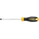 STAYER SL5х100 мм, отвертка 2509-05-10_z03
