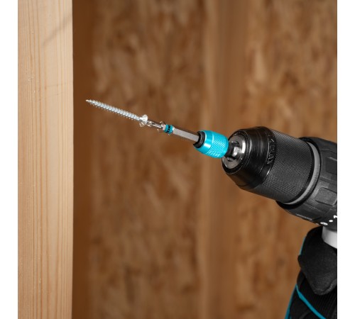 Бита Torx 25х50мм, сталь S2, шестигр., 2 шт. Gross