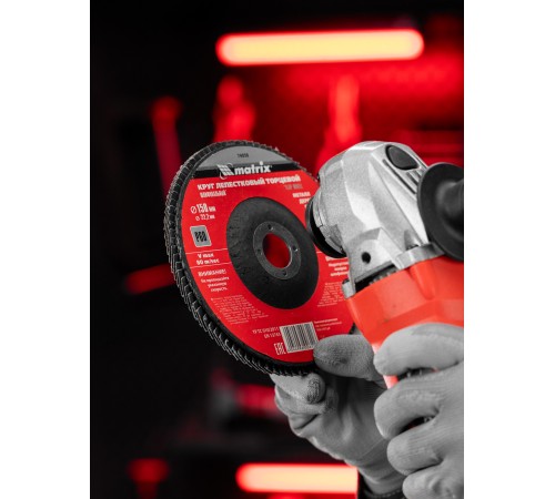 Круг лепестковый торцевой, P 60, 150 х 22.2 мм Matrix