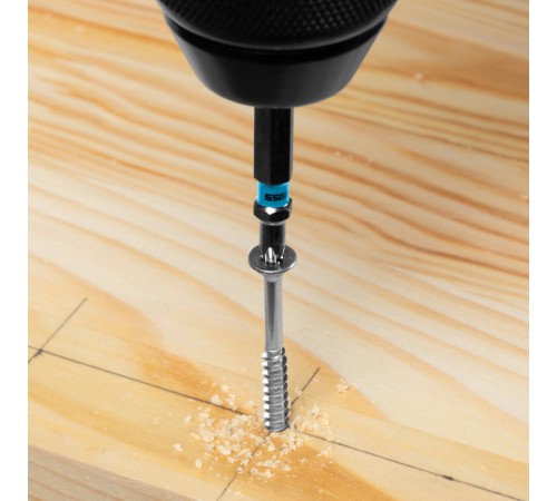 Набор бит Torx 15 х 50, сталь S2, 10 шт. Gross