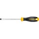 STAYER SL6х100 мм, отвертка 2509-06-10_z03