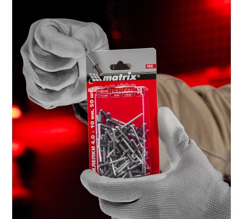 Заклепки 4.0 х 10 мм RAL 8017, темно-коричневый, 50 шт Matrix Заклепки 4.0 х 10 мм RAL 8017, темно-коричневый, 50 шт Matrix
