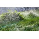 GRINDA 15 м, шланг-дождеватель 8-429015-15