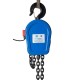 Таль электрическая цепная TOR ТЭШ (DHS) 5,0 т 
12 м
