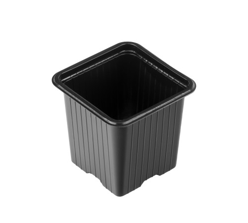 Горшочек для рассады, 70 х 70 х 65 мм, полистирол, 10 шт Горшочек для рассады, 70 х 70 х 65 мм, полистирол, 10 шт