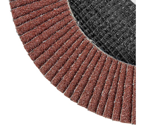 Круг лепестковый торцевой, P 80, 180 х 22.2 мм Matrix