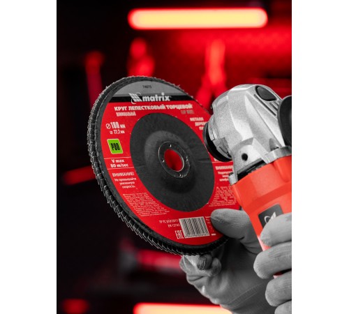 Круг лепестковый торцевой, P 80, 180 х 22.2 мм Matrix