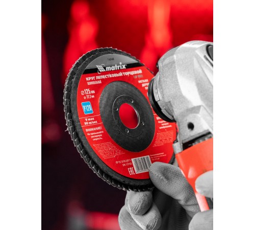 Круг лепестковый торцевой, P 120, 125 х 22.2 мм Matrix