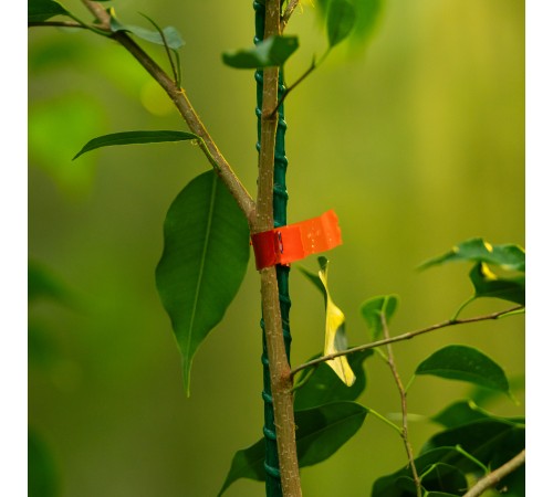 Тапенер садовый для подвязки растений, скобы 10 000 шт., лента 30 м Palisad Тапенер садовый для подвязки растений, скобы 10 000 шт., лента 30 м Palisad