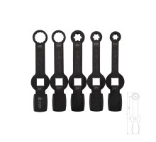 Набор специальных ключей для монтажа / демонтажа суппортов грузовиков, 5 предметов, кейс МАСТАК 102-20015C