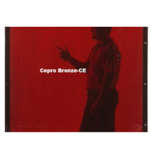 Сварочная шторка CEPRO Bronze-CE 180х220см