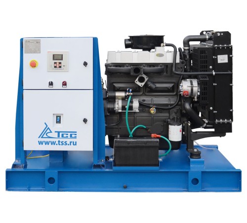 Дизельный генератор ТСС АД-24С-Т400 в контейнере Дизельный генератор ТСС АД-24С-Т400 в контейнере