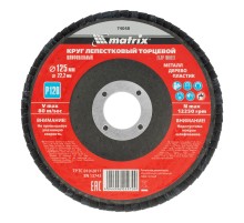 Круг лепестковый торцевой, P 120, 125 х 22.2 мм Matrix