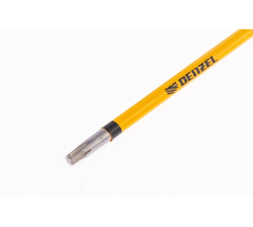 Бита T15x100 мм, 5 шт.// Denzel Бита T15x100 мм, 5 шт.// Denzel