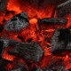 Уголь березовый, 5 кг Camping Palisad