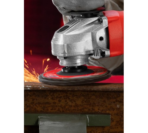 Круг лепестковый торцевой, P 60, 115 х 22.2 мм Matrix