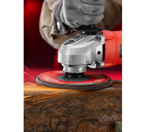 Круг лепестковый торцевой, P 24, 150 x 22.2 мм Matrix