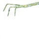 Рыхлитель 3 - зубый, 55 х 385 мм, стальной, пластиковая рукоятка, Flower Green, Palisad