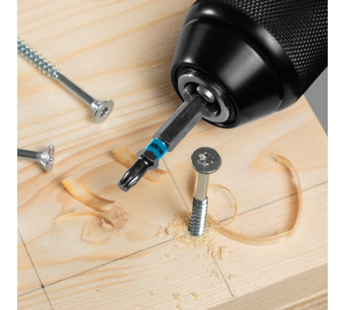 Набор бит Torx 15 х 50, сталь S2, 10 шт. Gross