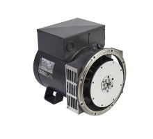 Mecc Alte ECP28-2VS/4 (8,8 кВт)