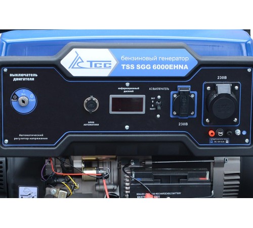 Бензогенератор 6 кВт TSS SGG 6000EHNA в кожухе МК-1.1 Бензогенератор 6 кВт TSS SGG 6000EHNA в кожухе МК-1.1