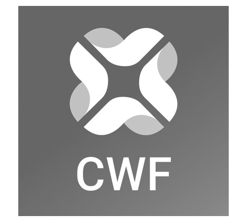 Программное обеспечение Leica CYCLONE Workflow Permanent