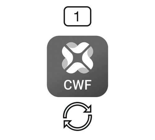 Право на обновление программного обеспечения Leica Cyclone WORKFLOW CCP в течение года