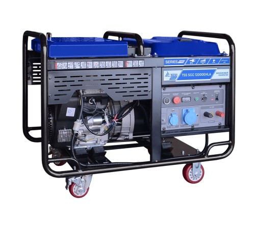 Бензогенератор TSS SGG 12000EHLA в кожухе МК-2.1 Бензогенератор TSS SGG 12000EHLA в кожухе МК-2.1