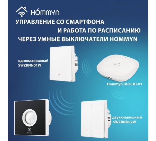 EAFR-100 black Вытяжной вентилятор