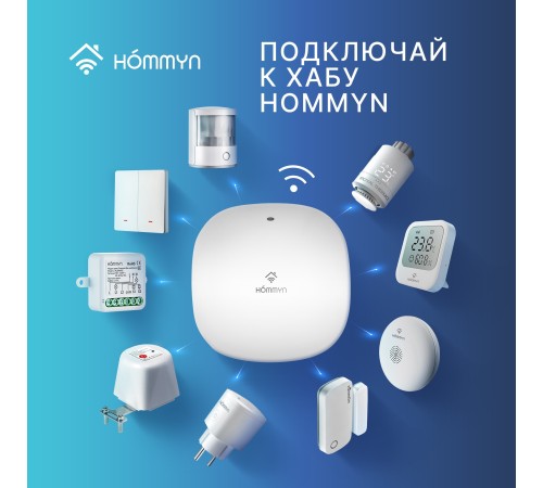 Модуль реле HOMMYN zigbee 2 канала (без нейтрали) RLZBNN02