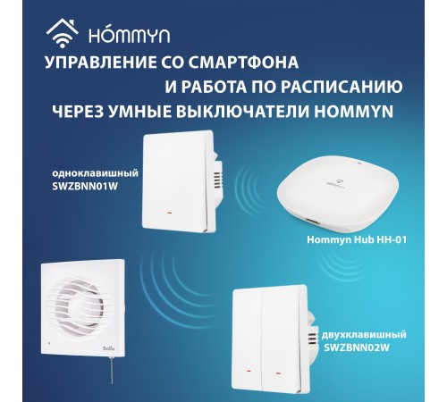 Вентилятор вытяжной Ballu BAF-AR 100 VP с обратным клапаном и тяговым выключателем