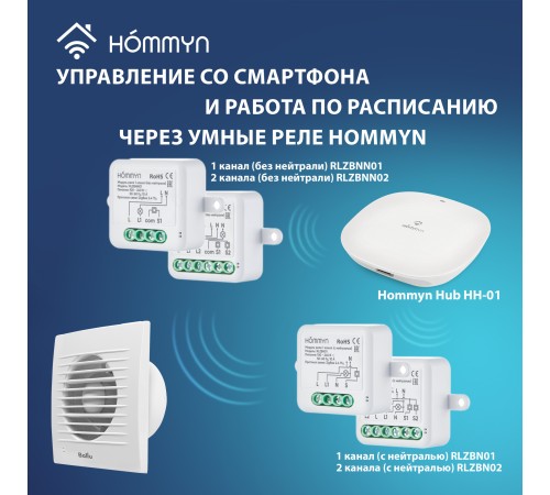 Вентилятор вытяжной Ballu BAF-FW 100 N с антимоскитной сеткой