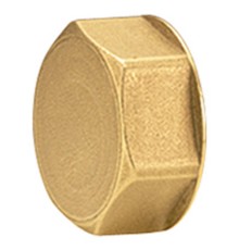 Пробка для коллектора Giacomini 1", R594Y004