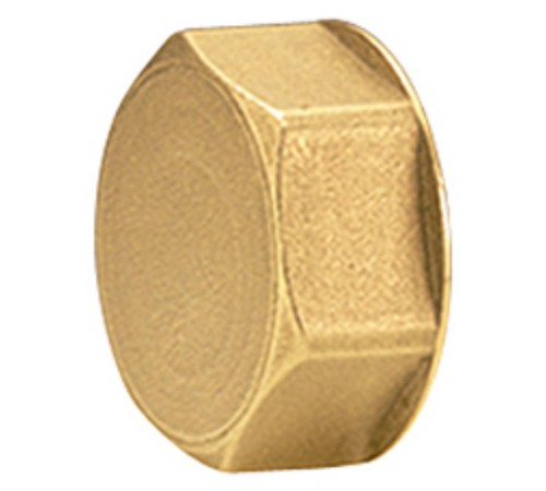 Пробка для коллектора Giacomini 1", R594Y004
