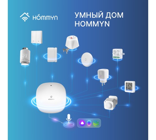 Датчик движения и освещенности HOMMYN MBS30ZB