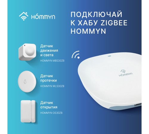 Датчик температуры и влажности HOMMYN THS30ZB
