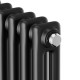 Дизайн-радиатор Royal Thermo Insignia C2180 - 14 секц. RAL9005m