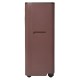 Кондиционер мобильный Ballu Twinkle BPAC-09 DWR/N6 Red