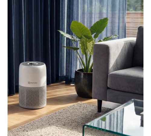 Очиститель воздуха Electrolux EAP-1010D
