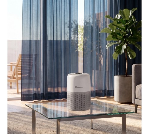 Очиститель воздуха Electrolux EAP-1010D