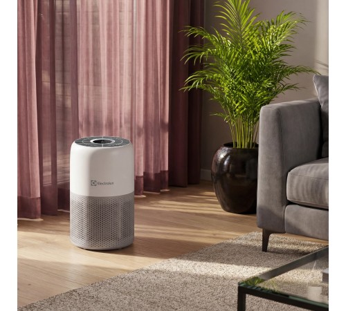 Очиститель воздуха Electrolux EAP-1010D