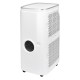 Кондиционер мобильный Electrolux Ice Column EACM-22 JK/N3