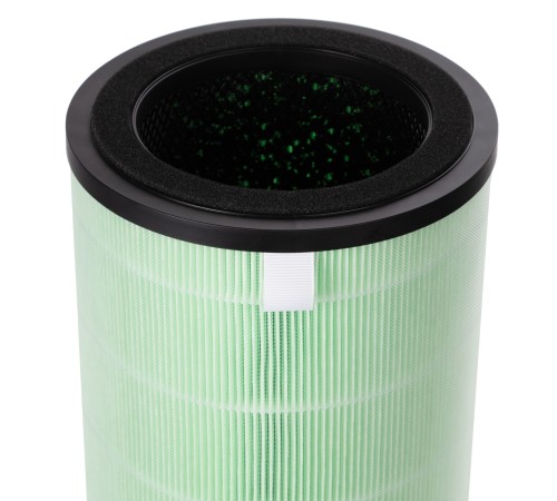 Фильтр Electrolux FAP-2050 ANTI SMOG ACTIVE