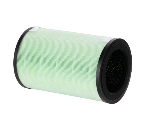 Фильтр Electrolux FAP-2050 ANTI SMOG ACTIVE