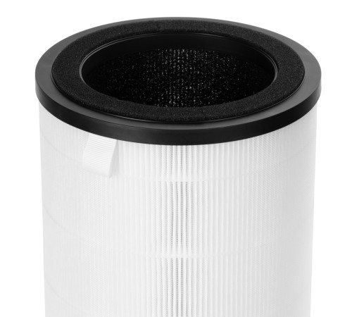 Фильтр Electrolux FAP-2050 ANTI DUST Фильтр Electrolux FAP-2050 ANTI DUST