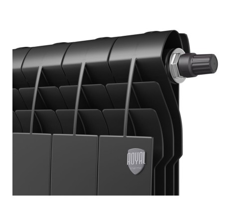 Радиатор Royal Thermo BiLiner 500 /Noir Sable VR - 10 секц.