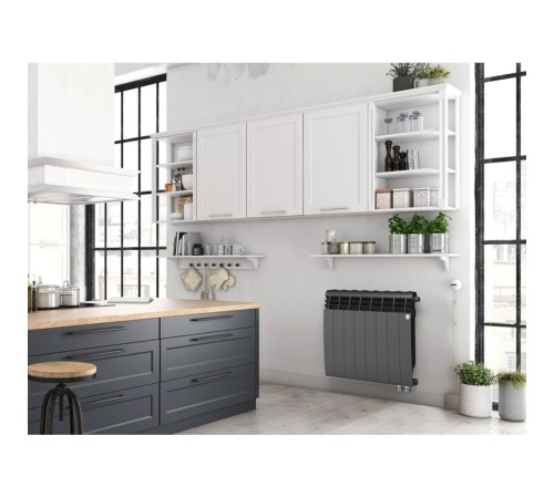 Радиатор Royal Thermo BiLiner 500 /Noir Sable VR - 10 секц.
