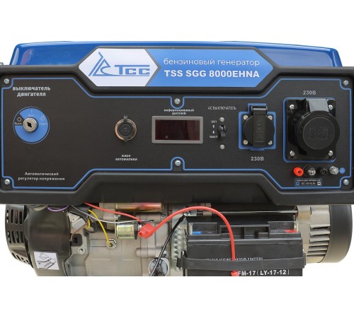 Бензогенератор TSS SGG 8000EHNA в кожухе МК-1.1 Бензогенератор TSS SGG 8000EHNA в кожухе МК-1.1