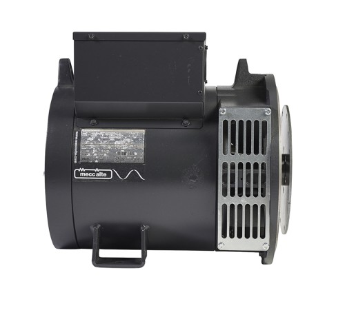 Mecc Alte ECP28-1VS/4 (6,2 кВт)